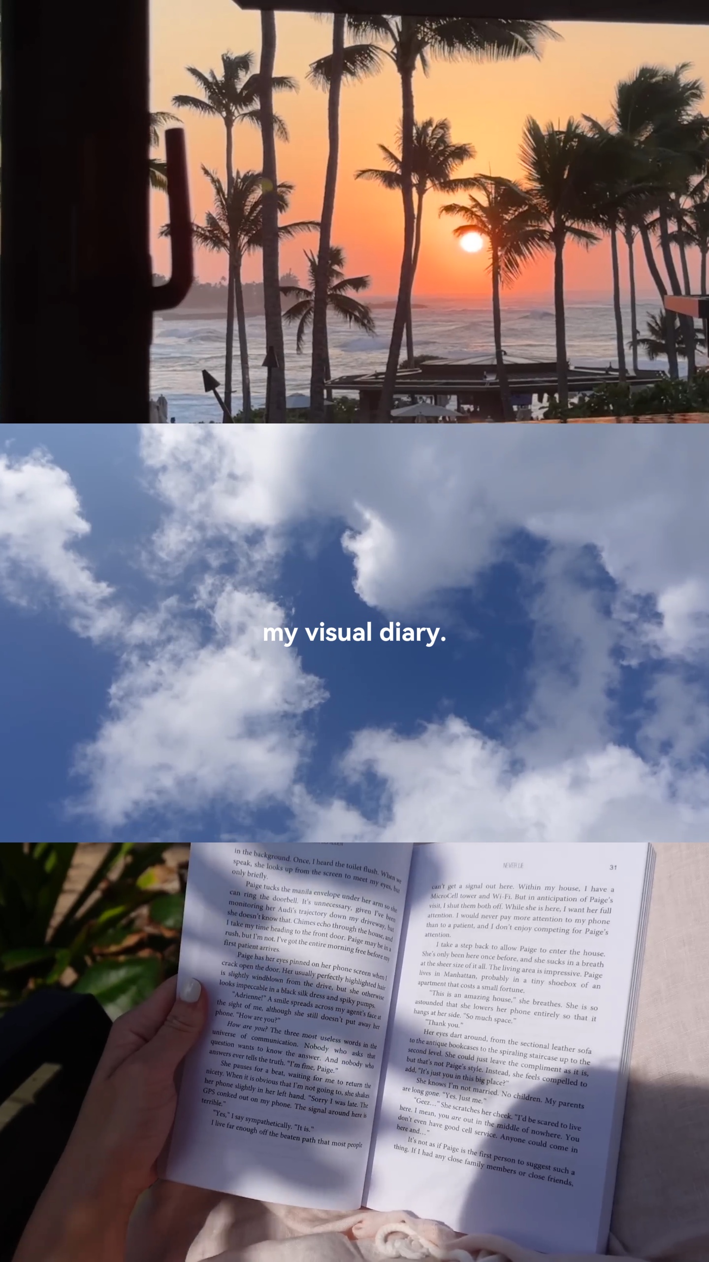 Cover Picture