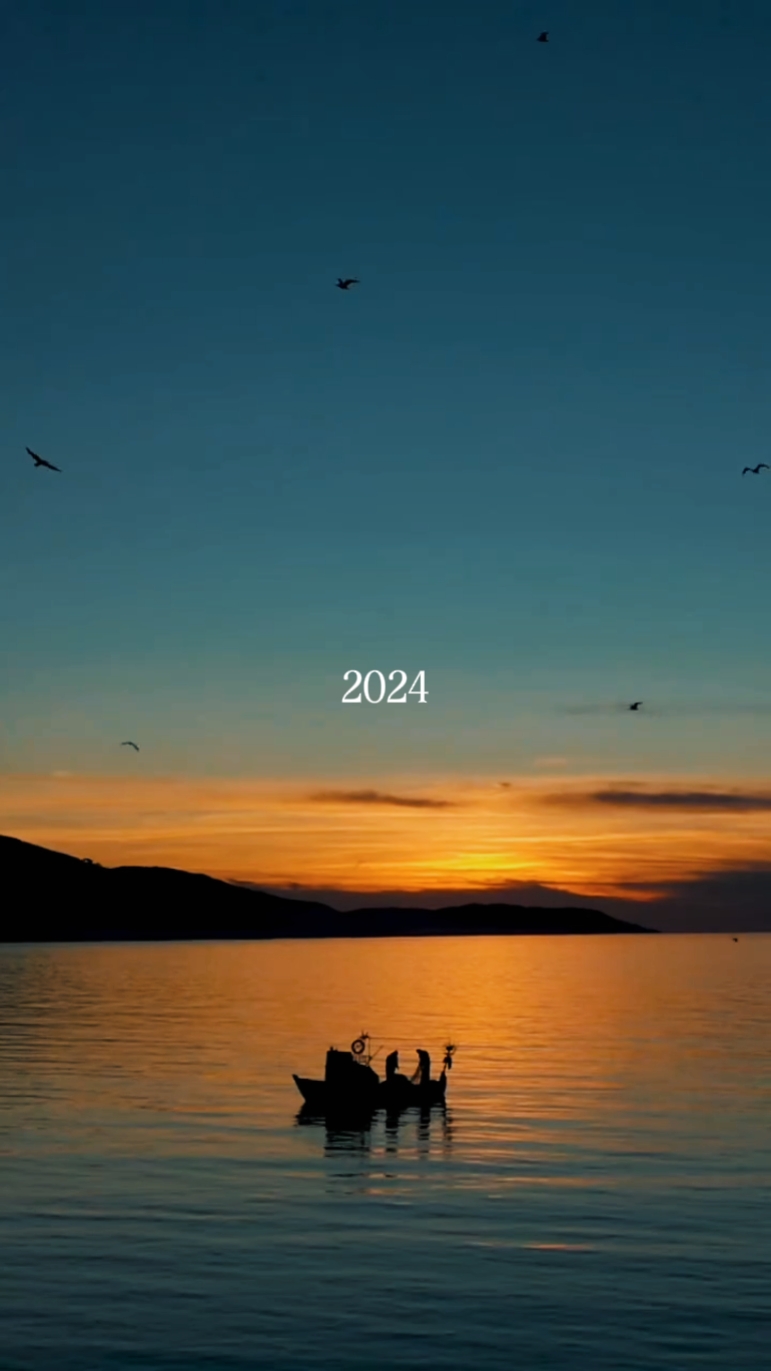 2024总结