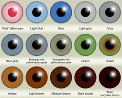 Eyes trend
