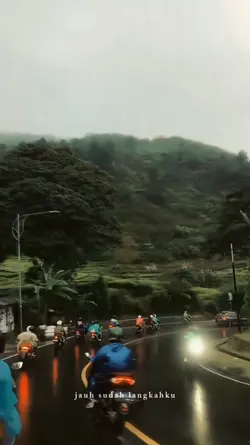 bintang kehidupan