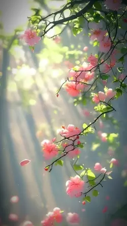 Mẫu nhẹ nhàng 3 ảnh 