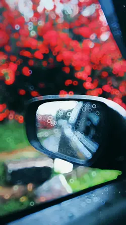 Slowmotion video ✨