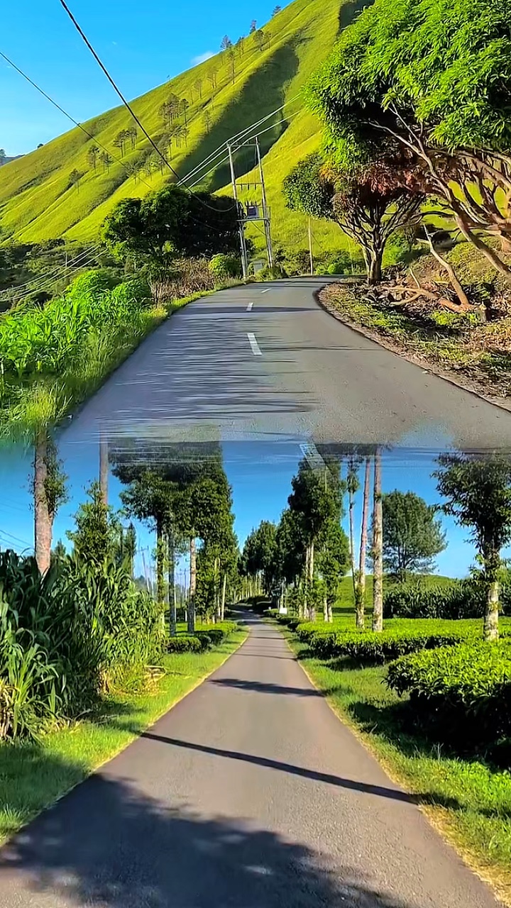 2 vidéo 1 mise en page HD 