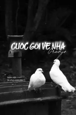 Cuộc Gọi Về Nhà 