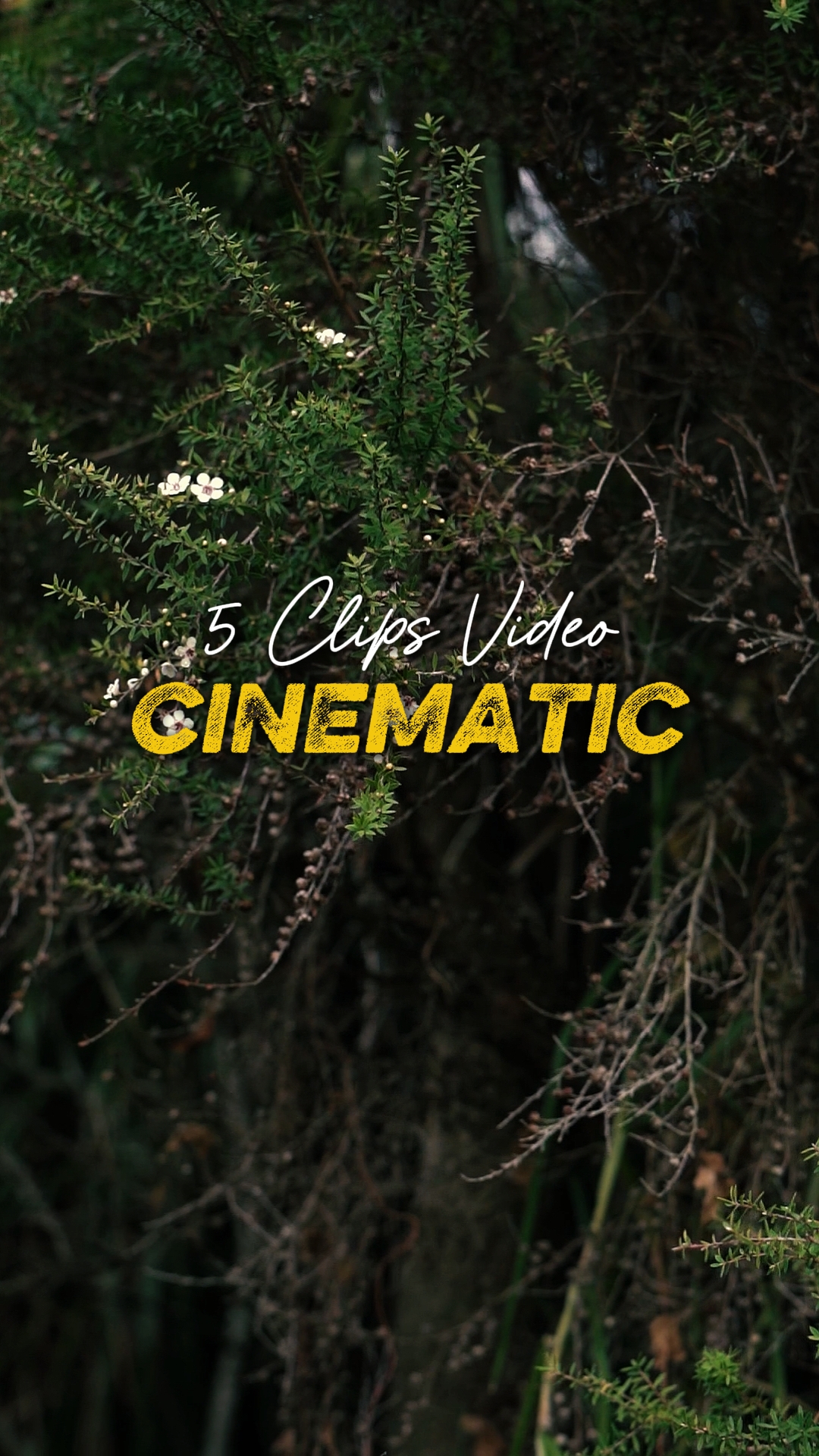 Sinematik 5 Video