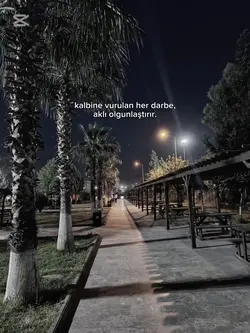şablon