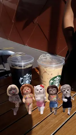 CAT FUNNY