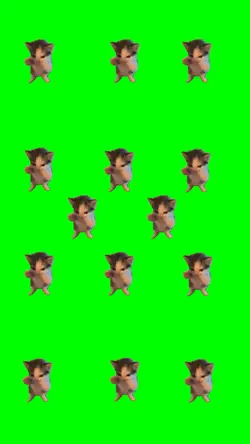 14 Kucing Kicau