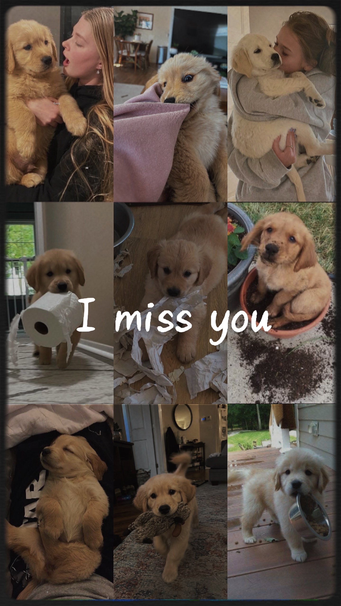 I miss you mocha 