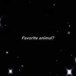 favorite animal?