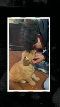 What makes you Happy