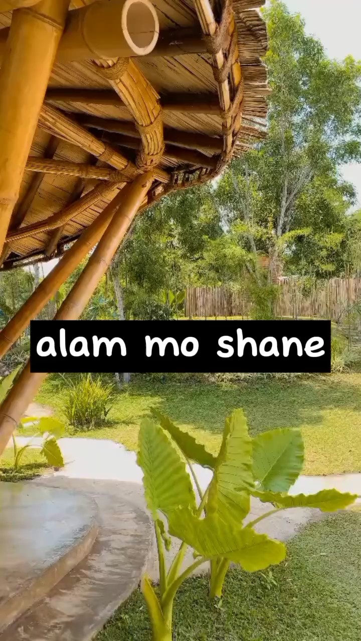 HULOG NG PANGIT