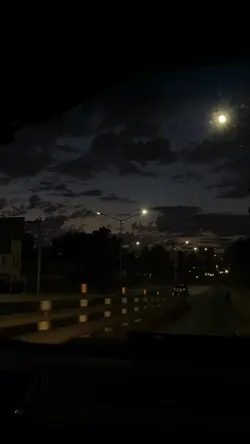 Alive by Kyle Hume:/