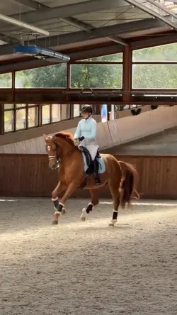 Equestrian slowmo