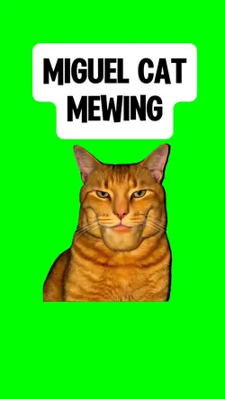 MIGUEL CAT MEWING