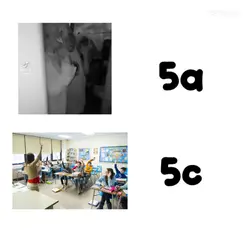 5a vs 5c