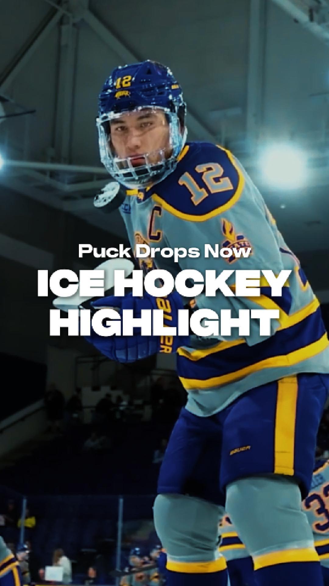 Ice Hockey Highlight