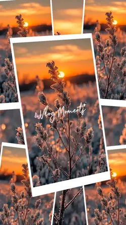 Vlog Moments