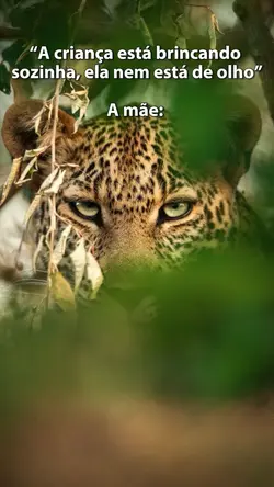 You can ask the