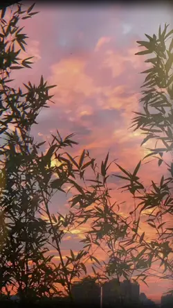 Mẫu tâm trạng 🥹❌