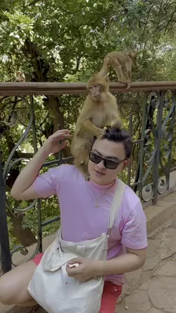 Monkey grabber!