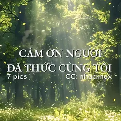 7 ảnh