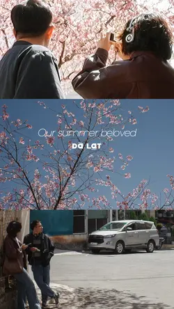 Our beloved summer
