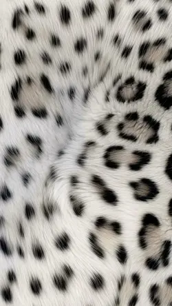 jejej