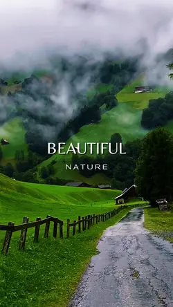 Beautiful Nature