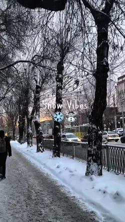 snow vibes