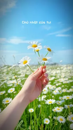 chủ nhật thảnh thơi 