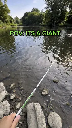 Transition fishing