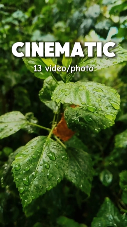 13 video cinematic 