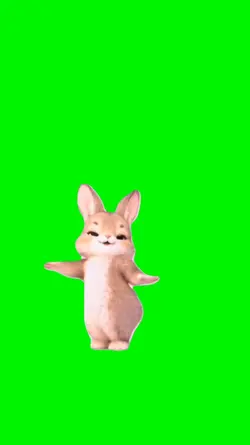 dancing rabbit
