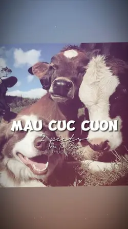 BEAT 2 ẢNH NHẸ NHÀNG