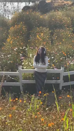 5 video