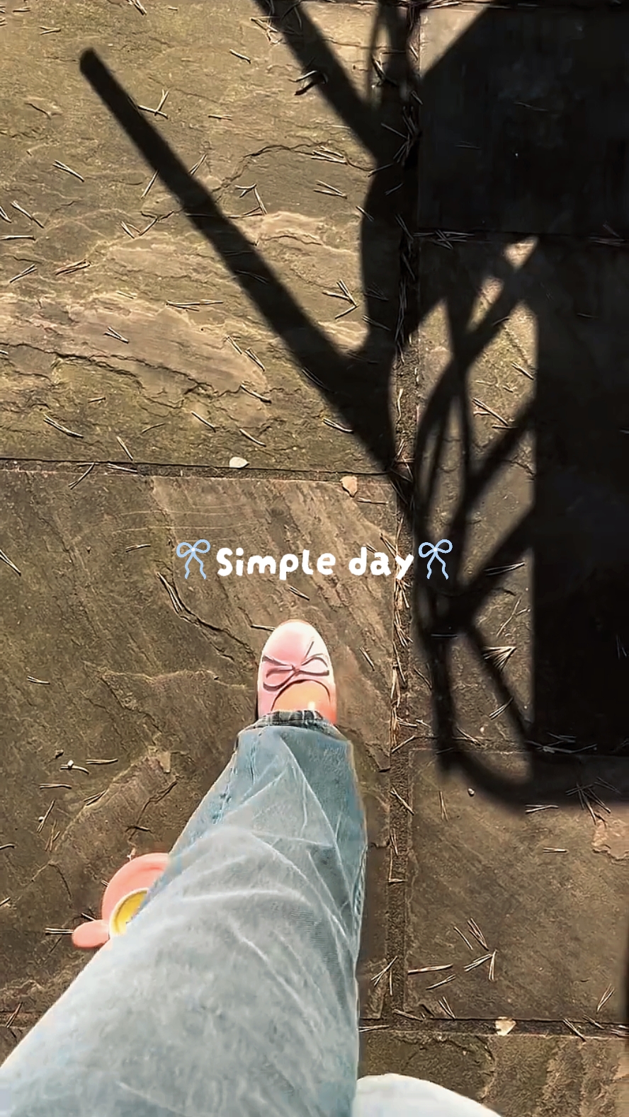 Dia simples