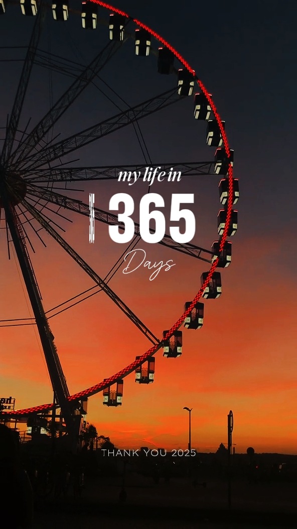 Mi vida en 365 días