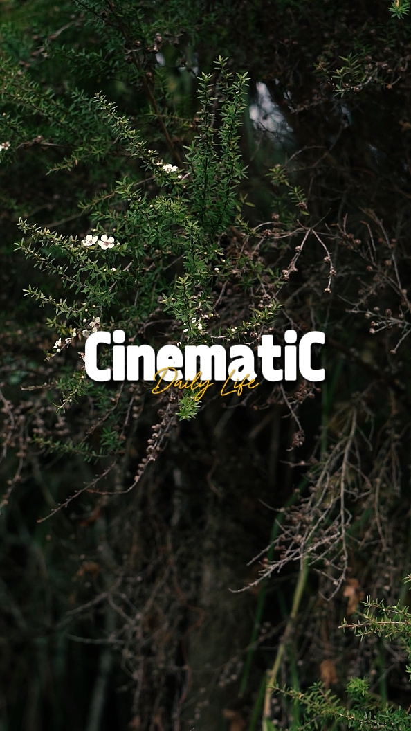 Vida Cotidiana Cinemática