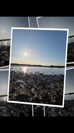 vlog nature