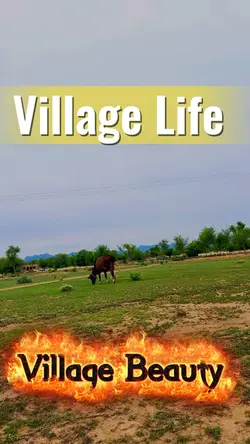 Village Life&Nature