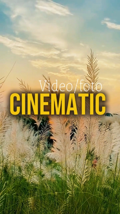 Vidéo ou photo 