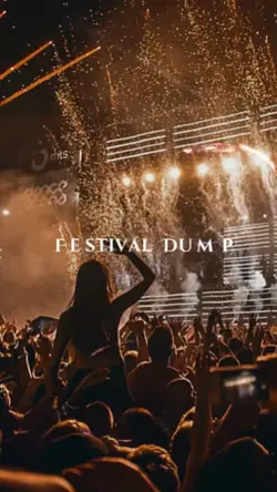 Festival Dump 