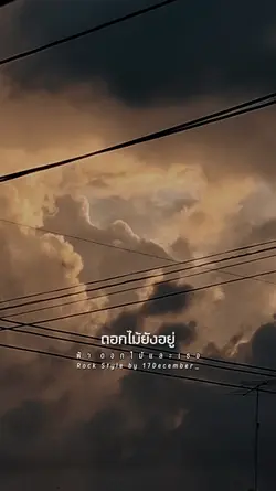ฟ้าดอกไม้และเธอ