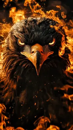 eagle fire