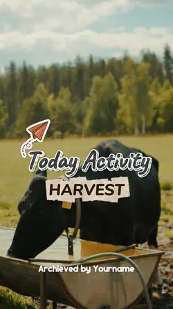 Harvest Activity 