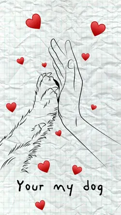 Your my dog ♥️