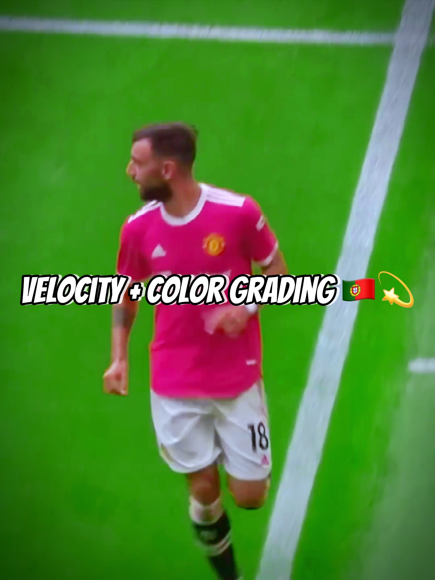 Bruno Velocity 🇵🇹💫