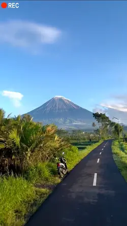 Nature view 