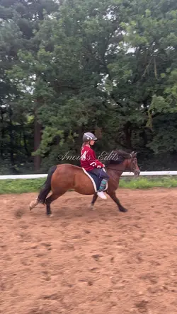 Reiten 